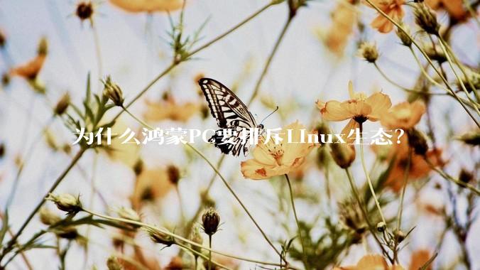 为什么鸿蒙PC要排斥Linux生态？
