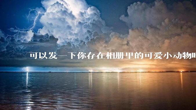 可以发一下你存在相册里的可爱小动物吗？